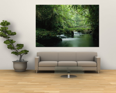 Buy A Woodland Stream Winding Through a Burmese Jungle at AllPosters.com