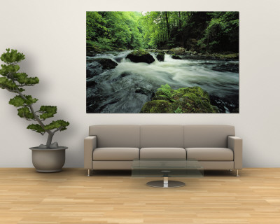 Buy Woodland Stream and Rapids, Time Exposure at AllPosters.com