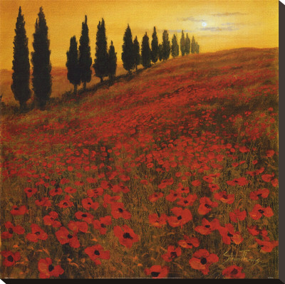 Poppies