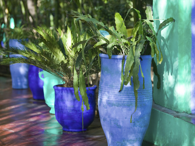 Jardin Majorelle and Museum of Islamic Art, Villa Pottery, Marrakech, Morocco