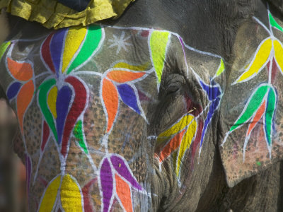 Elephant Decorated with Colorful Painting, Jaipur, Rajasthan, India
