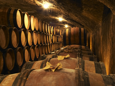 Wooden Barrels with Aging Wine in Cellar, Domaine E Guigal, Ampuis, Cote Rotie, Rhone, France