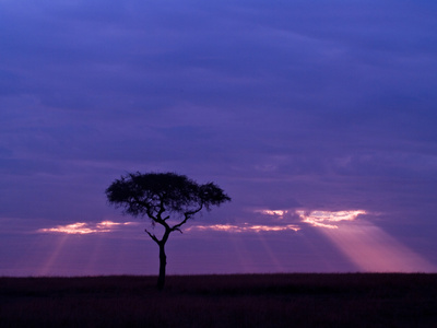 Sunrise, Maasai Mara, Kenya