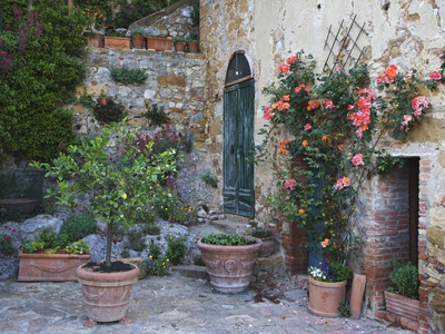 Potted Plants Decorate a Patio in Tuscany, Petroio, Italy