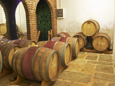 Barrel Aging Cellar, Vinedos Y Bodega Filgueira Winery, Cuchilla Verde