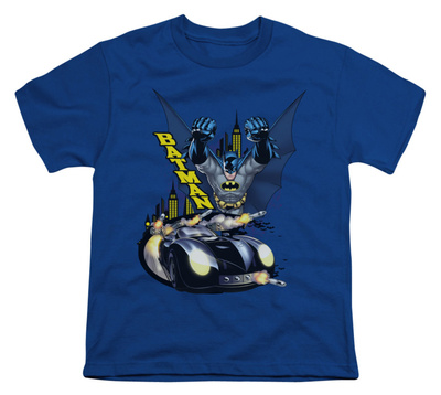 Youth: Batman - By Air and By Land