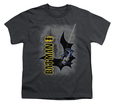 Youth: Batman - Swing Into Action
