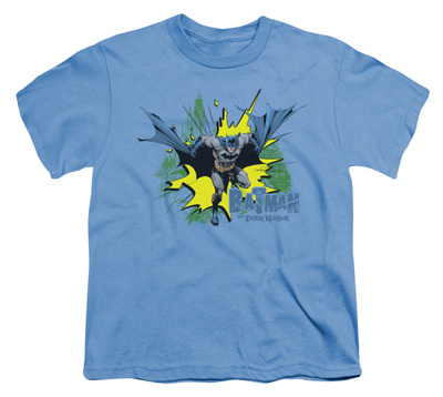 Youth: Batman - City Splash