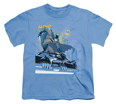 Youth: Batman - Two Gotham Gargoyles