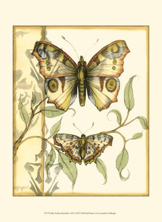 Tandem Butterflies I