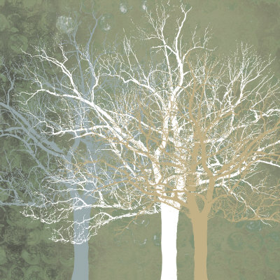 Buy Quiet Forest at AllPosters.com