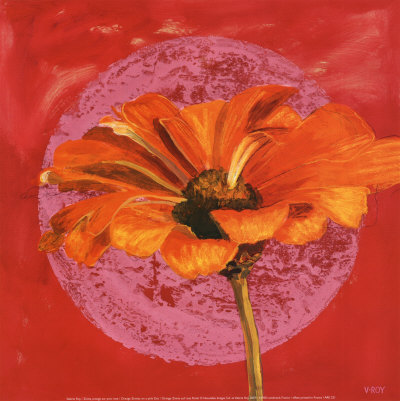 Zinnia Orange sur Pos Rose
