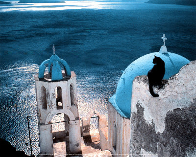 Buy Chat en Grece at AllPosters.com