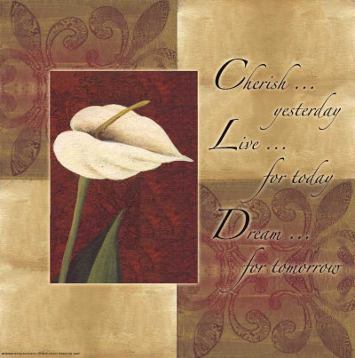 Calla Lily: Cherish Live Dream