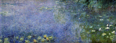 Waterlilies II
