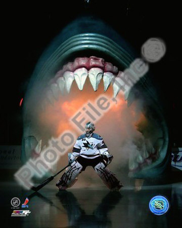 Buy Evgeni Nabokov at AllPosters.com