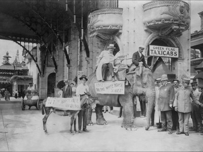 Elephant and Donkey in Luna Park