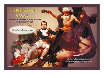 Napoleonic Code: Software and Internet Hosting Services