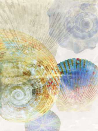 Shell Suite III