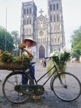 Woman Selling Flowers off Her Bicycle, Hanoi, Vietnam, Indochina, Asia