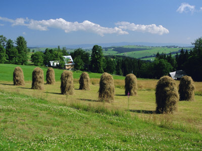 Typical Polish Landscape Near Zacopane, Tatra Mountains, Poland, Europe