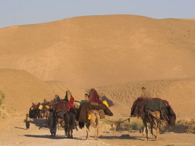 Kuchie Nomad Camel Train, Between Chakhcharan and Jam, Afghanistan, Asia