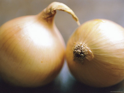 Studio Shot of Two Onions