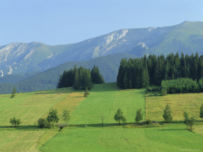 High Tatra Mountains, Near Zdiar, Slovakia, Europe