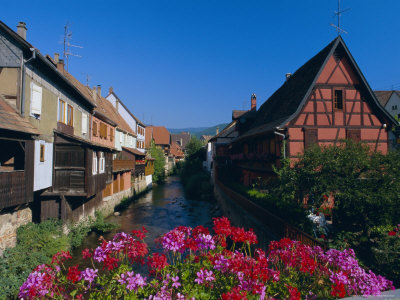 Colourful Timbered Houses on the Banks of the River Weiss, Kaysersberg, Haut-Rhin, Alsace, France