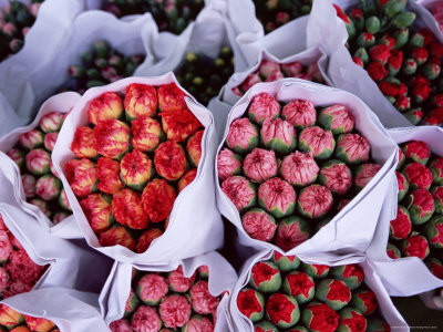 Carnations, Flower Market, Mong Kok, Kowloon, Hong Kong, China, Asia