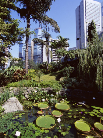 Hong Kong Park, Central, Hong Kong Island, Hong Kong, China, Asia