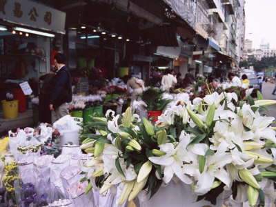 White Lilies, Flower Market, Mong Kok, Kowloon, Hong Kong, China, Asia