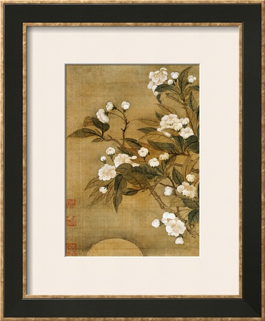 Pear Blossom and Moon