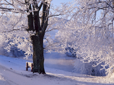 Winter Scene Beside the River Tay, Aberfeldy, Perthshire, Scotaland, UK