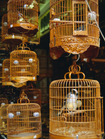 The Bird Market, Hong Lok Street, Mongkok, Kowloon, Hong Kong, China