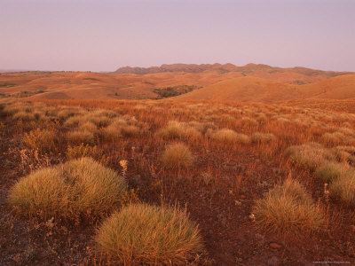 Stokes Lookout, Flinders Range, South Australia, Australia, Pacific