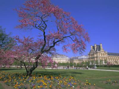 Jardin Des Tuileries and Musee Du Louvre, Paris, France, Europe