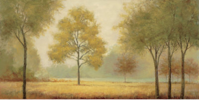 Tranquil Panorama