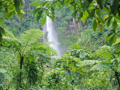 Waterfall, Guadeloupe, French Antilles, West Indies, Caribbean