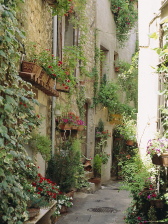 Mougins, Alpes Maritime, Cote d