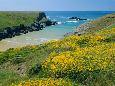 Cote De Port Kerledan, Belle-Ile-En-Mer, Breton Islands, Morbihan, Brittany, France