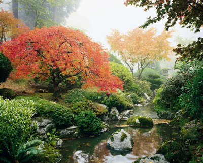 Japanese Garden I