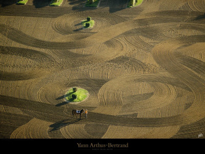 Buy Rond d'Entrainement sur l'Hyppodrome de Maisons-Laffitte at AllPosters.com