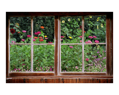 Summer Garden Thru a Rustic Window