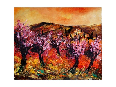 Blooming Cherry Trees In Provence