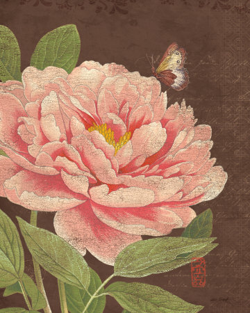 Garden Peony I