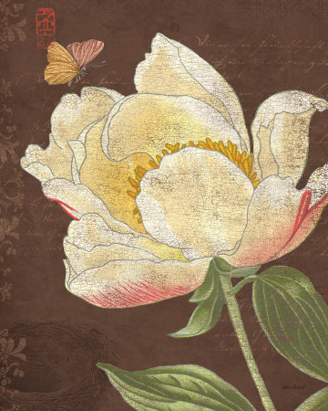 Garden Peony II