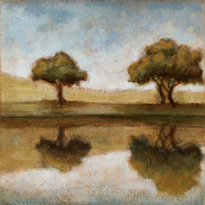Reflection