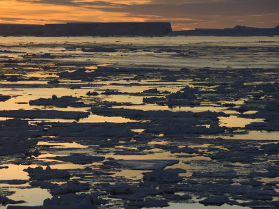 Pack Ice, Antarctic Peninsula, Weddell Sea, Antarctica, Polar Regions