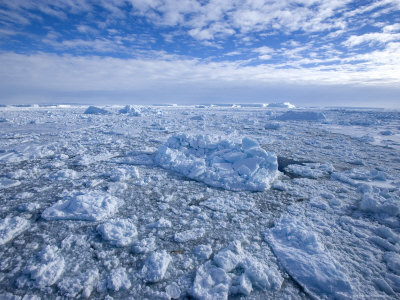 Pack Ice and Icebergs, Antarctic Peninsula, Weddell Sea, Antarctica, Polar Regions